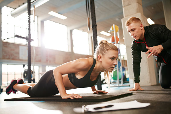 Personal trainer PLUS online zelfstudie A