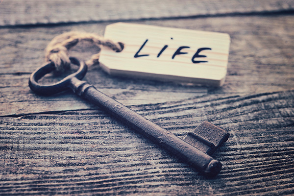 Life Management essentials