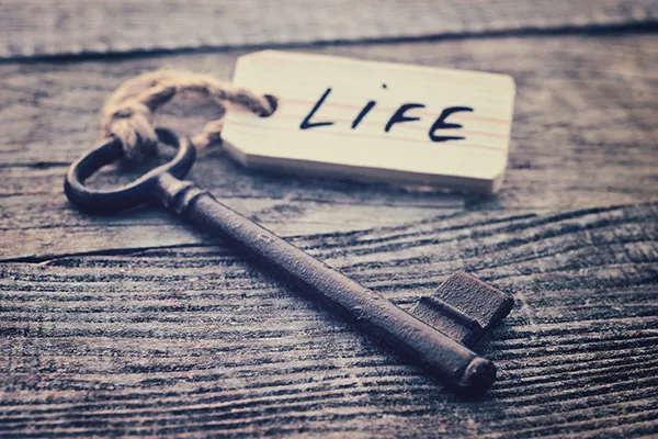 Life Management Essentials videocursus