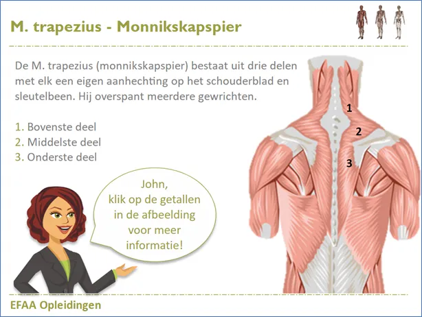 Interactief leren