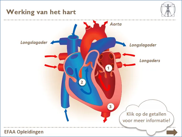 Interactief leren