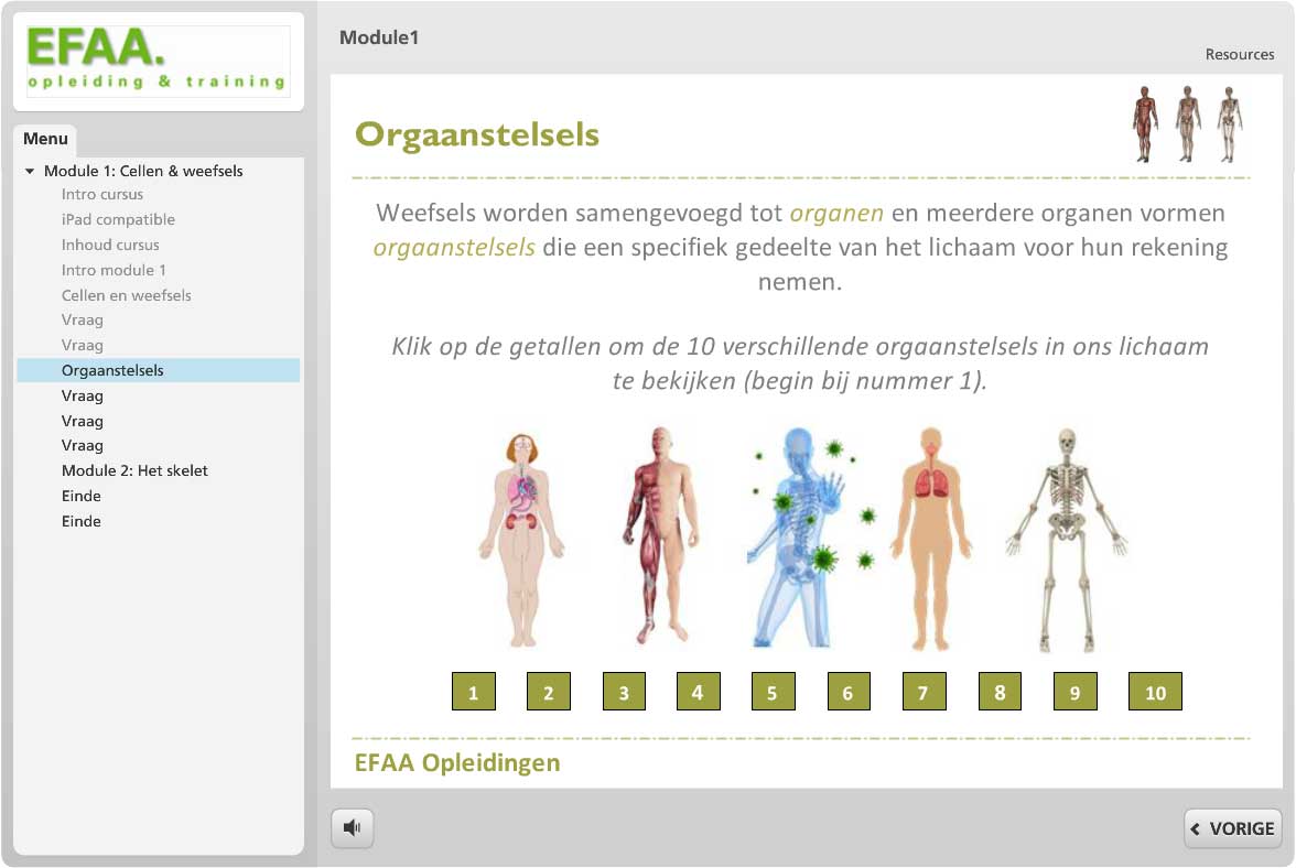 Fitness e-learning voorbeeld